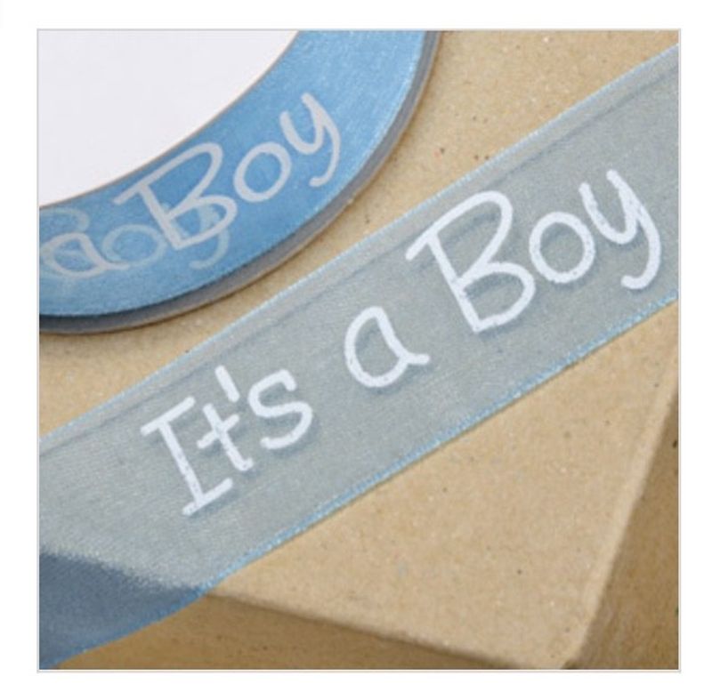 Organza Its a boy